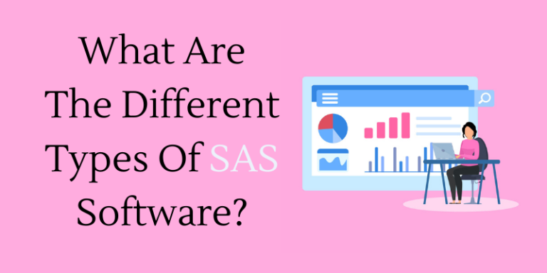 What Are The Different Types Of SAS Software?