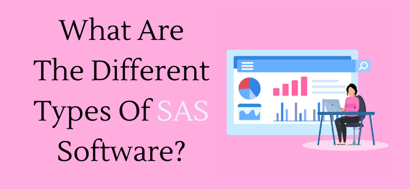 What Are The Different Types Of SAS Software?