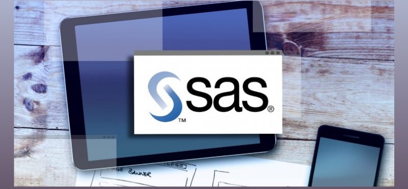 How to Effectively Implement Data Quality Management with SAS?
