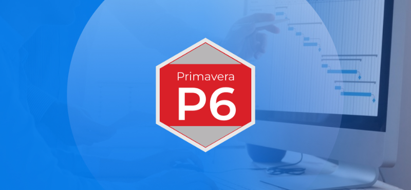 How to Maximize Benefits of Oracle Primavera P6
