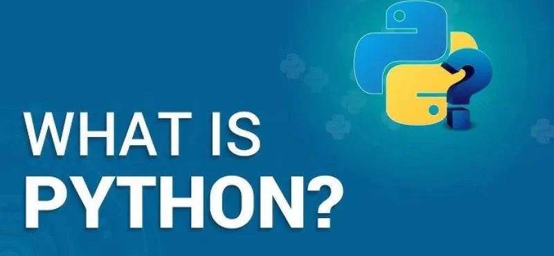 Python Coding Standards Followed by Industry Professionals