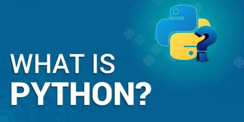 Python Coding Standards Followed by Industry Professionals